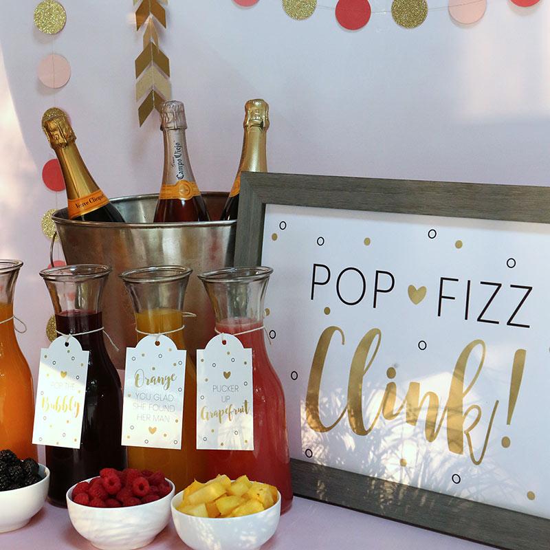 Mimosa Bar Kit - Classic - Signs